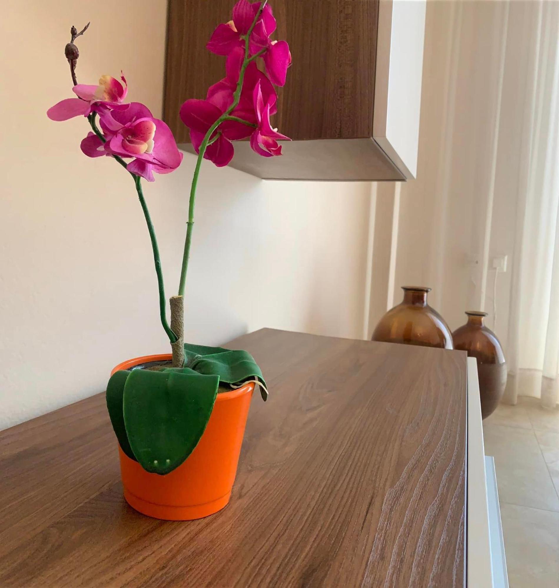Apartament Αpartments Anna Deluxe Kawala Zewnętrze zdjęcie